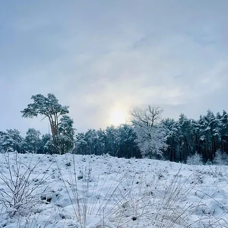 Cosy Concept - Nahe Hamburg Pinneberg