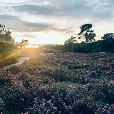 Cosy Concept - Nahe Hamburg *