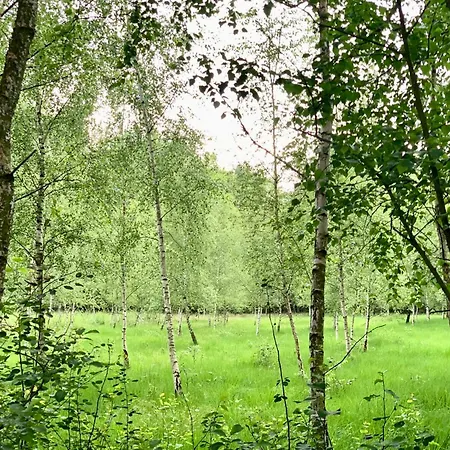 Cosy Concept - Nahe Hamburg Feriehus