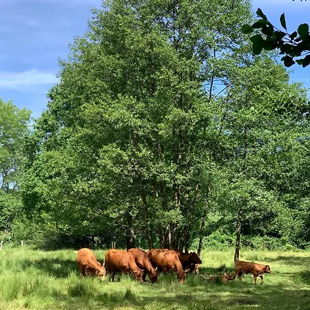 Cosy Concept - Nahe Hamburg *